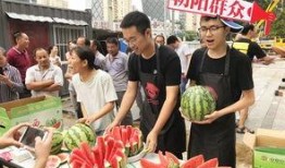 朝阳吃瓜群众网